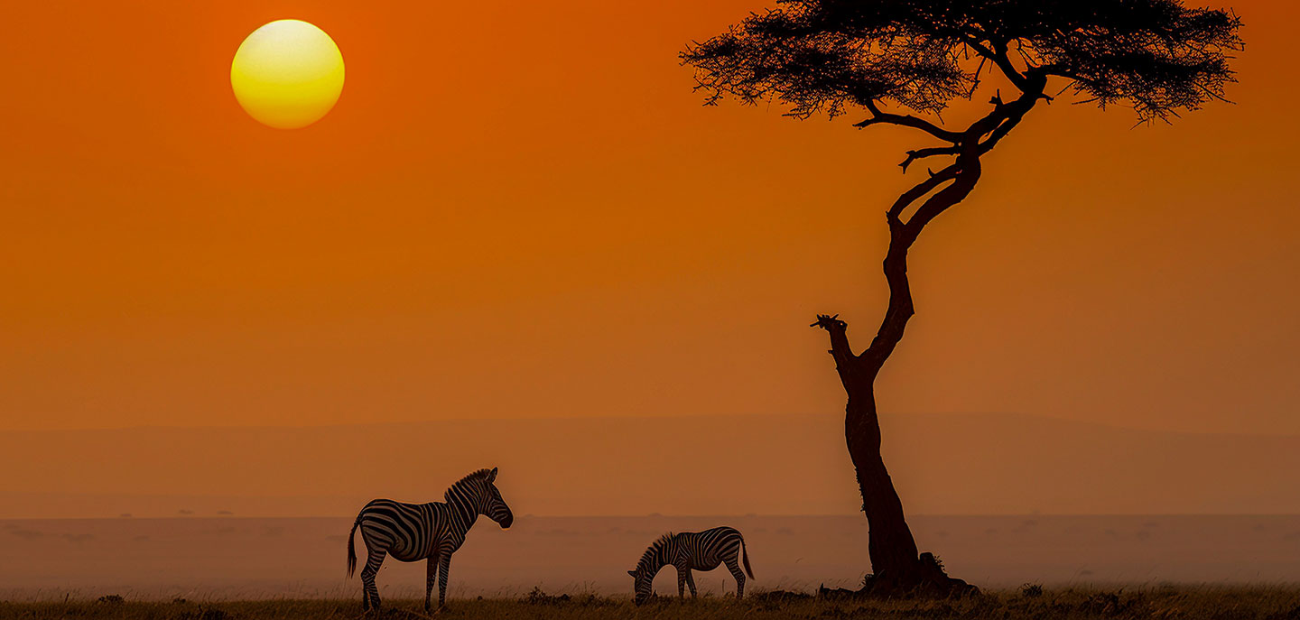 Rishidev Foundation Banner